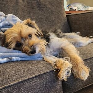 Meet your Posher, My